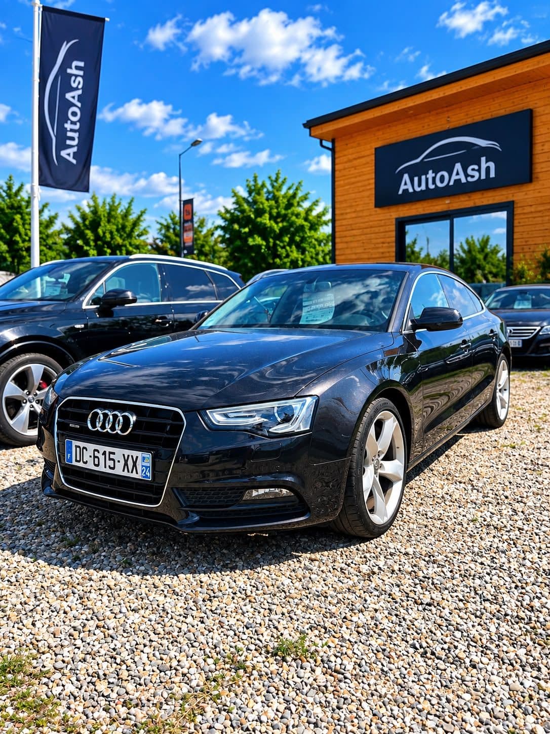 Audi A5 Sportback Quattro 2.0 TDI 177 CP — fotografia 1 din 11
