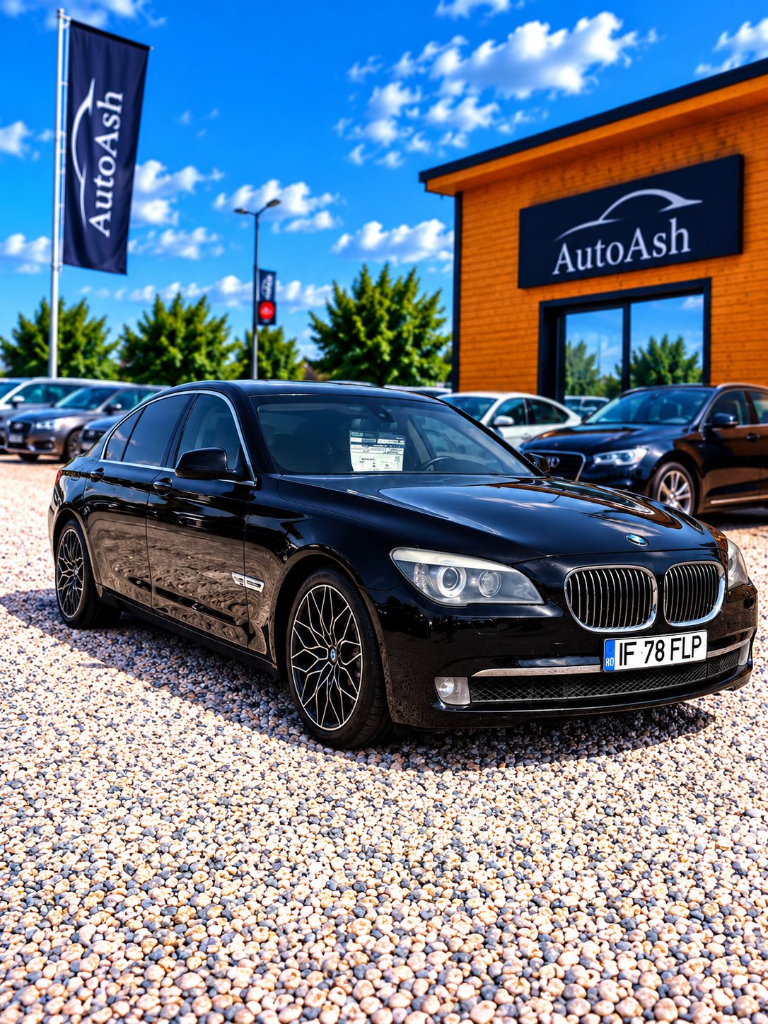 BMW 740d xDrive F01 — fotografia 1 din 9